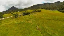 Imagen Bosque Protector Dudas Mazar 